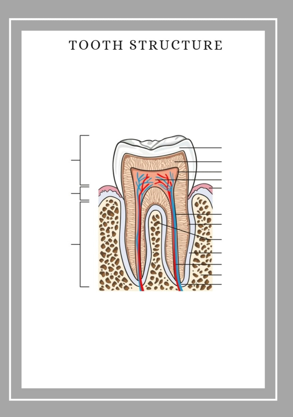 DIGITAL VERSION - The Essential Dental Nursing Planner