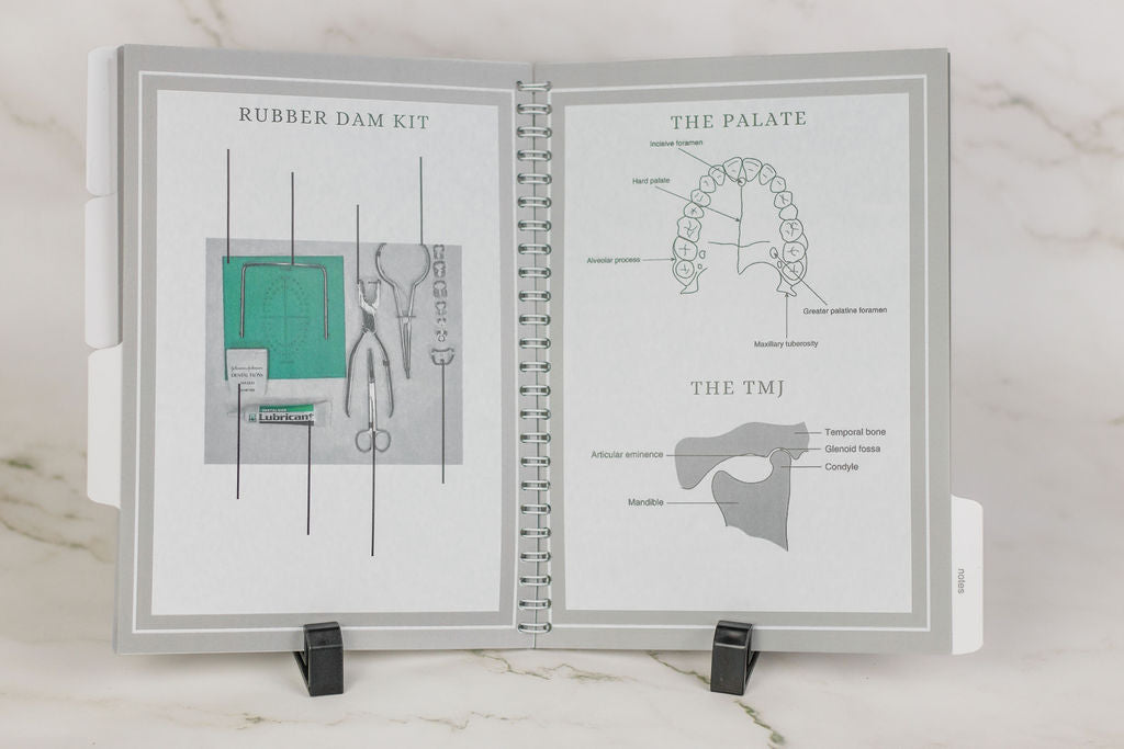 The essential dental nursing planner